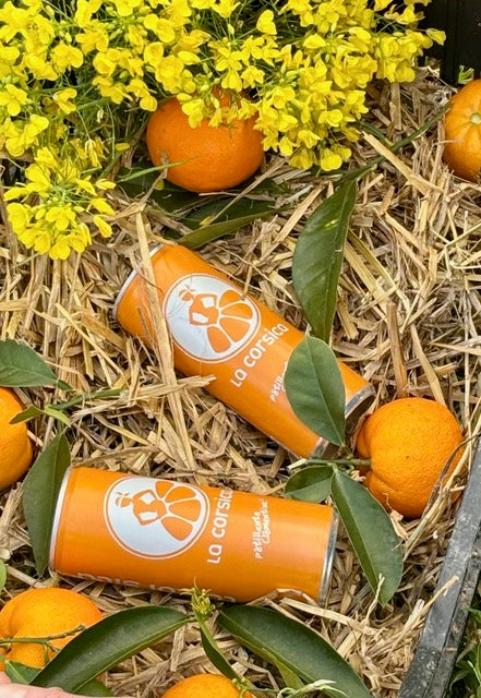 240 canettes Corsica dont 120 canettes offertes *OFFRE PRO*